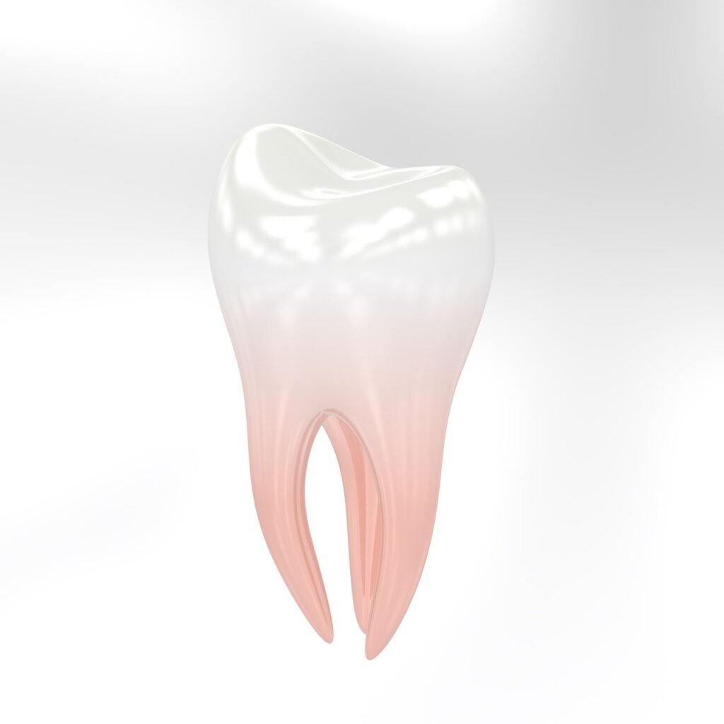teeth, tooth, dentist, molar, hygiene, jaws, teeth, tooth, tooth, tooth, tooth, tooth, dentist-3433751.jpg
