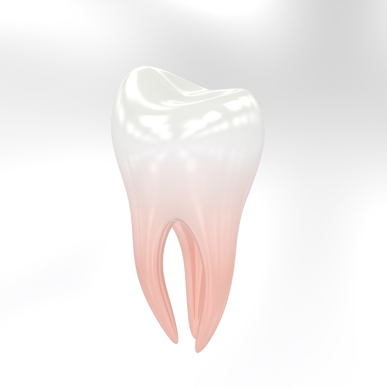 teeth, tooth, dentist, molar, hygiene, jaws, teeth, tooth, tooth, tooth, tooth, tooth, dentist-3433751.jpg